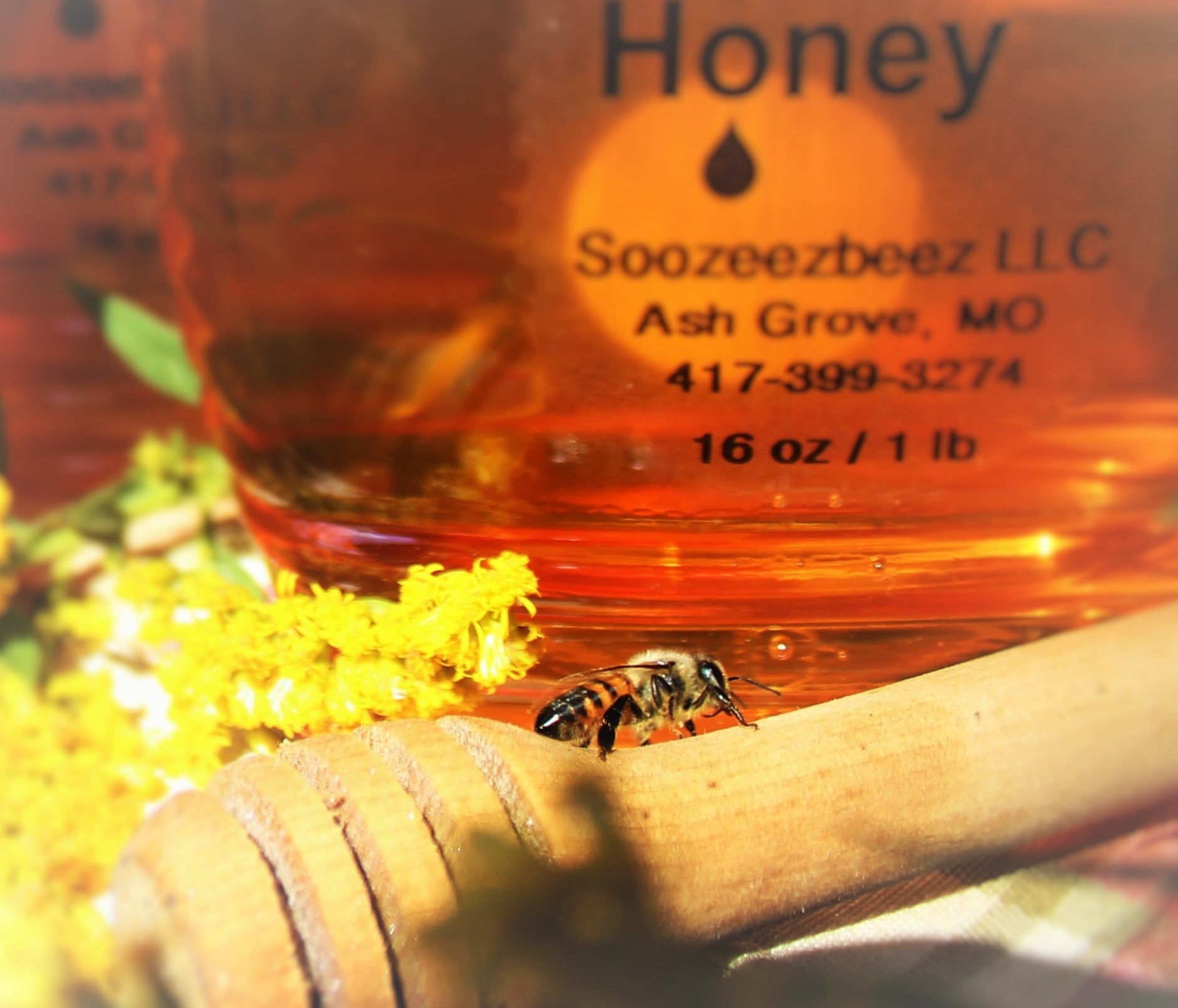 Honey Bees - 1lb. Bag